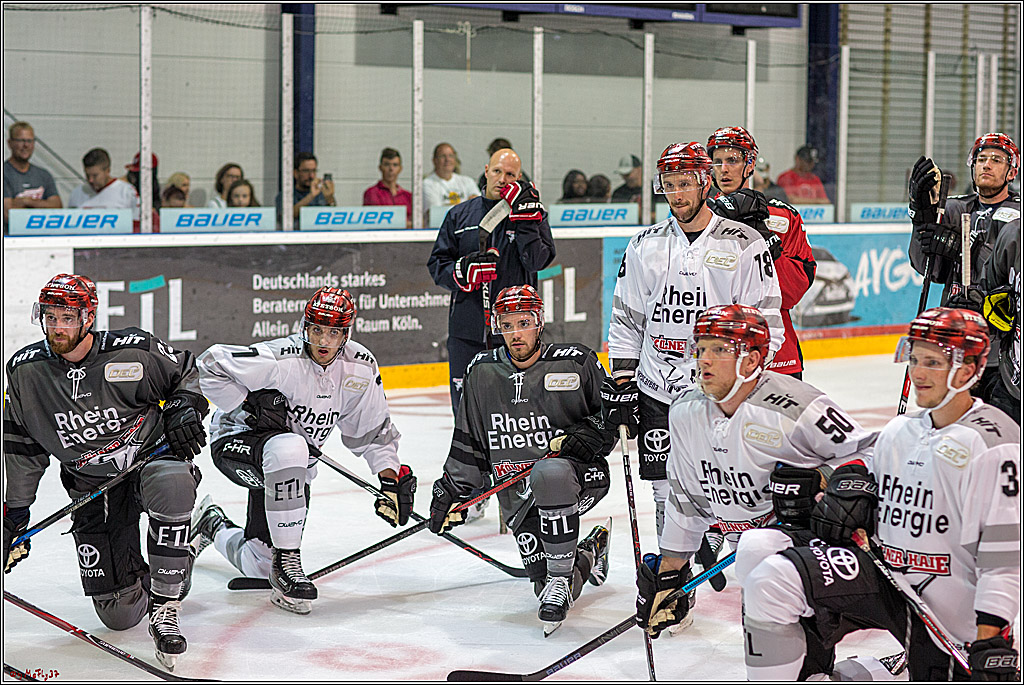 1. offizielles Training der Koelner Haie, 05.08.2018